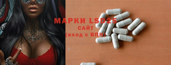 дживик Верея