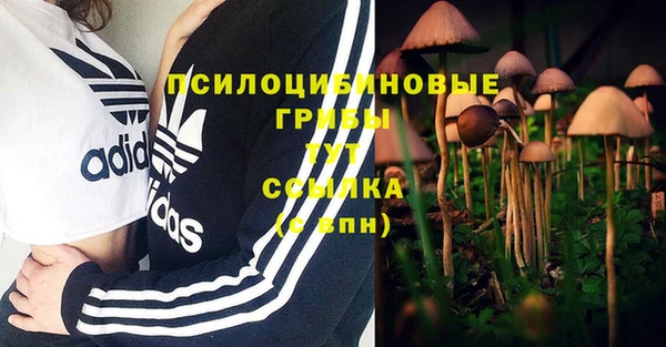 МДМА Семилуки