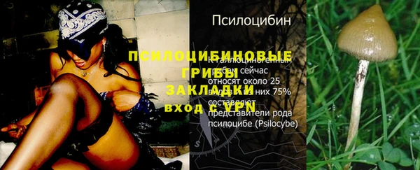 дживик Верея