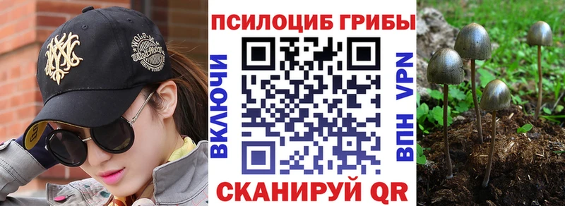 МЕГА онион  Мариинск  Галлюциногенные грибы мицелий 